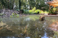 Ortswechsel: Ab jetzt immer der Blick über unseren neuen Teich. (08.08.2020)