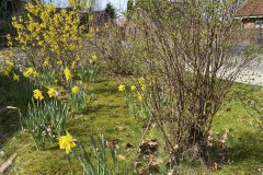 03.04.2021 - es wird langsam Frühling, auch wenn es kalt ist.