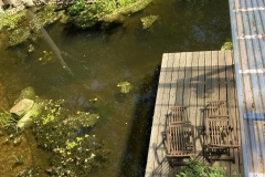 24.07.2021 - Ein Blick vom Schuppendach auf den Teich in der Juli-Sonne.