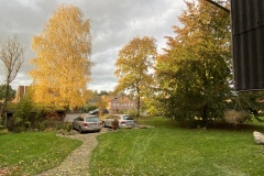Es ist richtig Herbst geworden: 23.10.2021