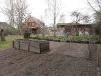 Unser Garten 2015  19.04.2015 : 2015, Garten, Gartenbild wöchentlich