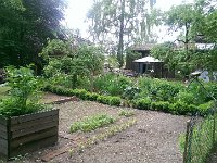 Unser Garten 2015  08.06.2015 : 2015, Garten, Gartenbild wöchentlich