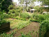 Unser Garten 2015  Bei tropischer Hitze: 05.07.2015 : 2015, Garten, Gartenbild wöchentlich