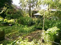 Unser Garten 2015  18.07.2015 : 2015, Garten, Gartenbild wöchentlich