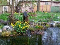 Unser Garten 2016  Der Teich lebt wieder