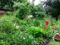 Unser Garten 2016  12.06.2016